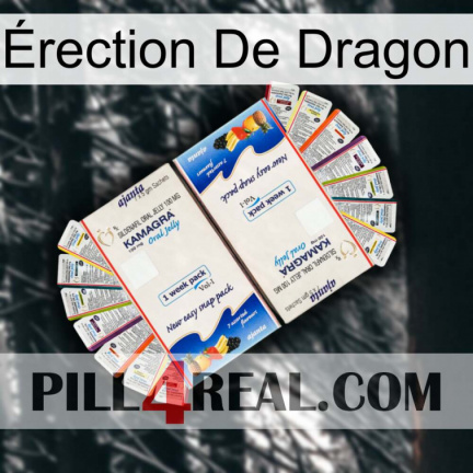 Érection De Dragon kamagra1